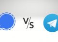 Signal or Telegram