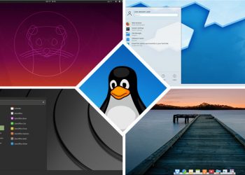 8 Best Linux OS You Should Try in 2021
