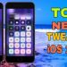 TOP good Tweaks on iOS 14.3 compatible with iPhone 19 TOP good Tweaks on iOS 14.3 compatible with iPhone