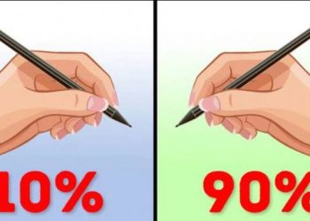 Are Left-Handers Smarter Than Right-Handers? 15 Are Left-Handers Smarter Than Right-Handers?